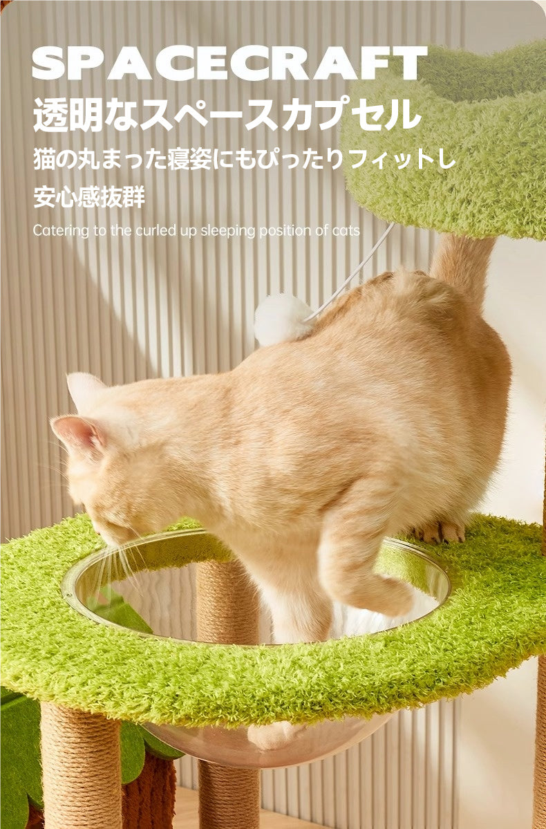 ジャングルジム風キャットタワー